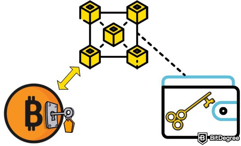 O Que é uma Carteira de Criptomoedas: Chave Privada