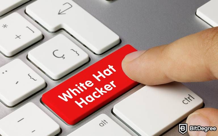 White Hat Hacker Exploits DeFi Lending Platform Tender.fi for $1.59 Million