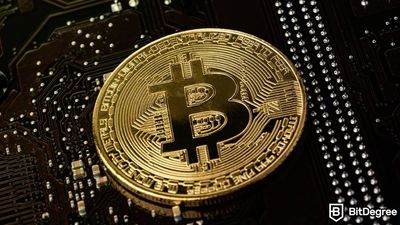 Metode Pembayaran yang Lebih Praktis: Siapa yang Menerima Bitcoin?