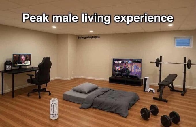 Meme about the humor of stereotypical single male living situations.