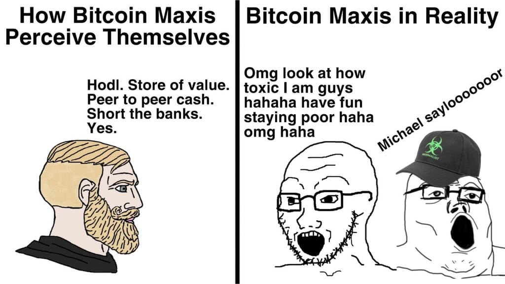 Meme about the contrasting perceptions of Bitcoin maximalists and their realities.