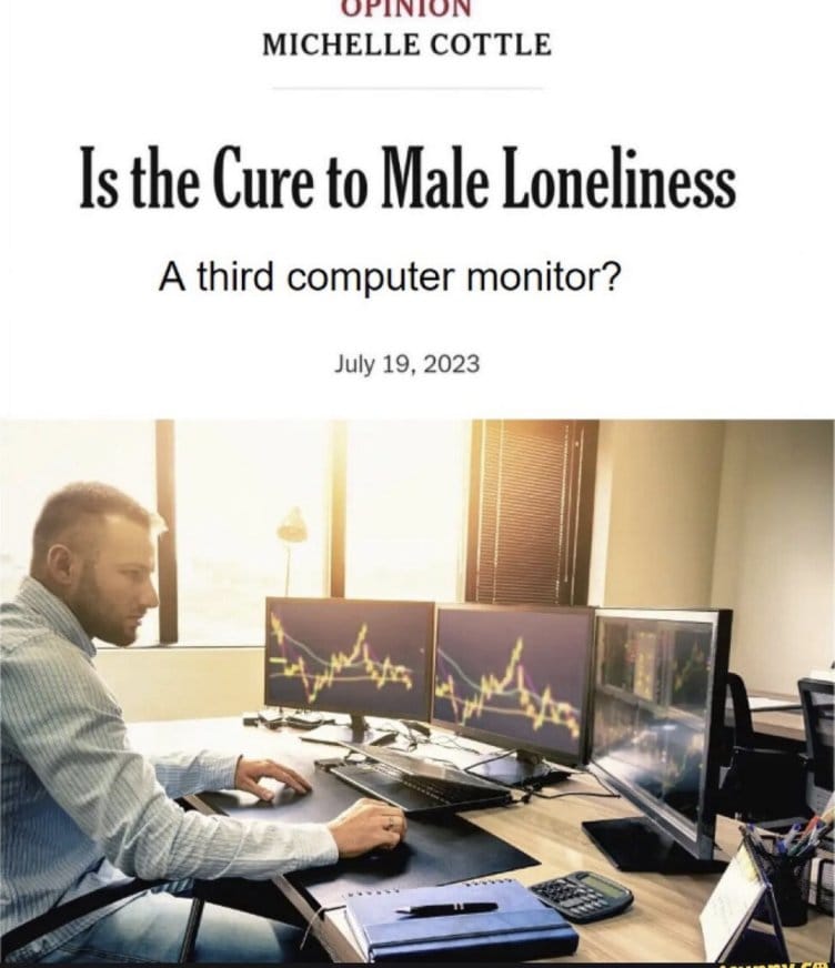 Meme about addressing male loneliness through technology and workspaces.
