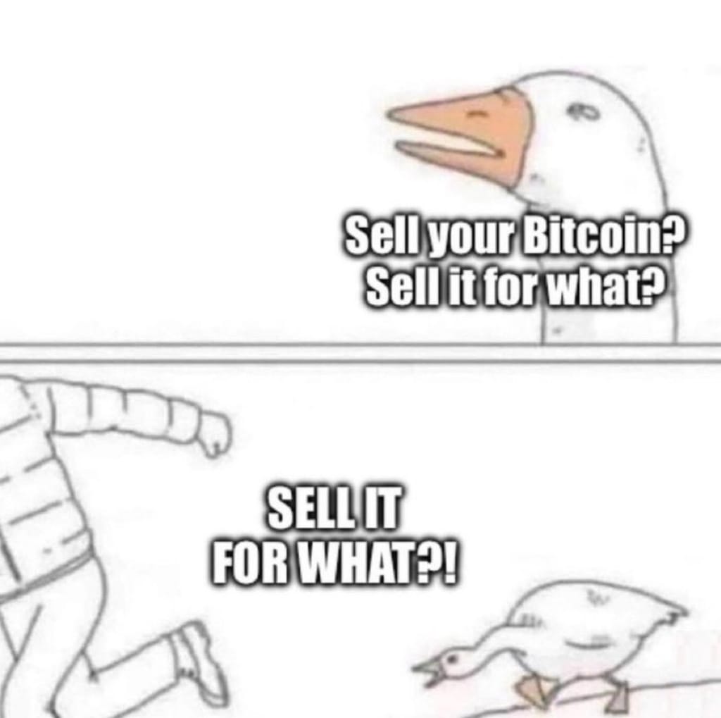 Meme about questioning the value of selling Bitcoin.