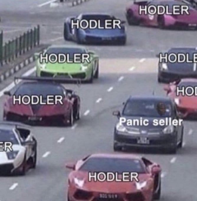 Meme about cryptocurrency investors versus panic sellers in a humorous racing scenario.