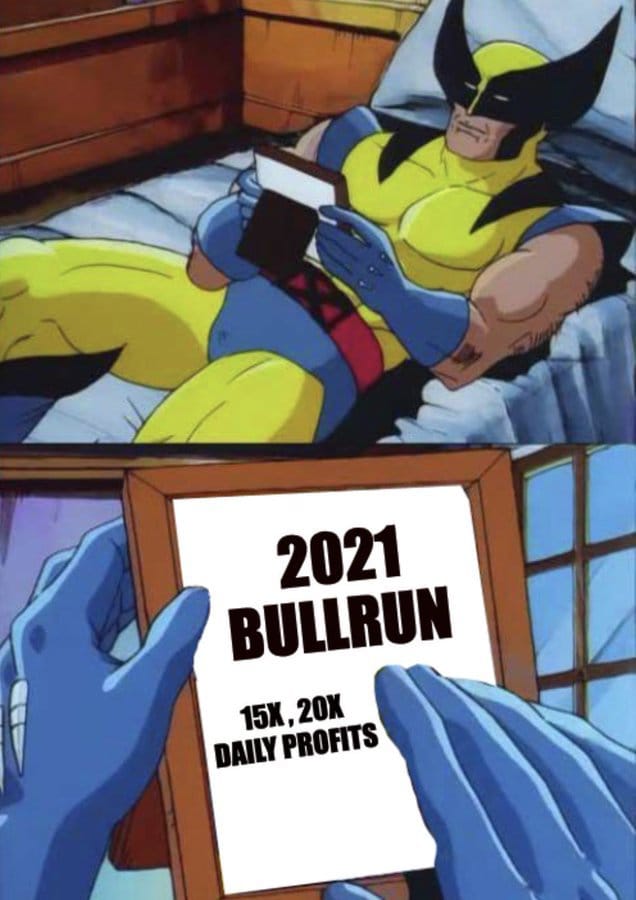 Meme about missed investment opportunities during the 2021 bull run.
