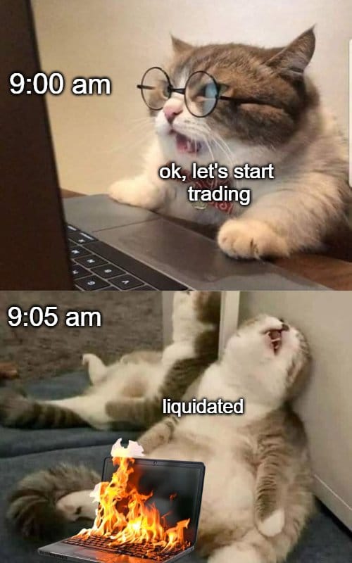 Meme about a cat’s disastrous start in trading, leading to quick failure.