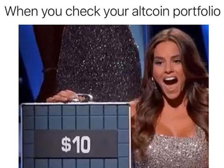 Meme about the disappointment of low altcoin portfolio values.