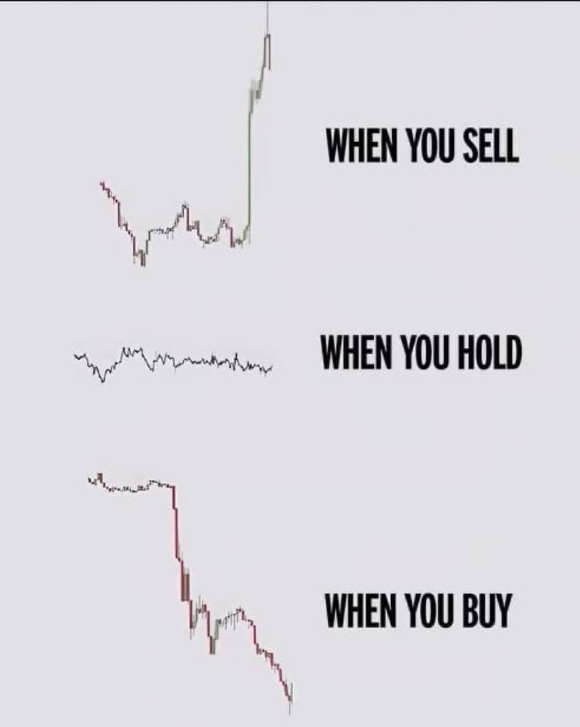 Meme about the emotional rollercoaster of trading decisions in the stock market.