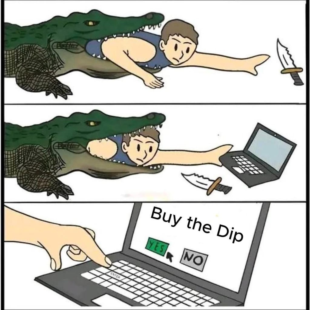 Meme about the risks and rewards of investment decisions, humorously illustrating "buy the dip."
