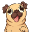 Pug Inu