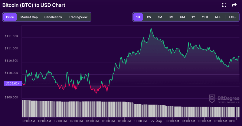 Bitcoin price chart from BitDegree, 08-27