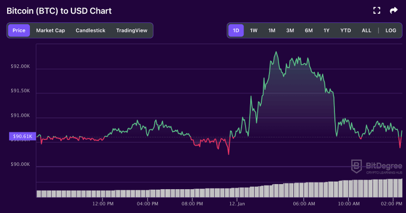 Bitcoin price chart from BitDegree, 01-12