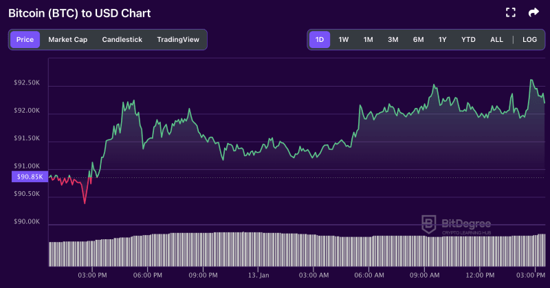 Bitcoin price chart from BitDegree, 01-13