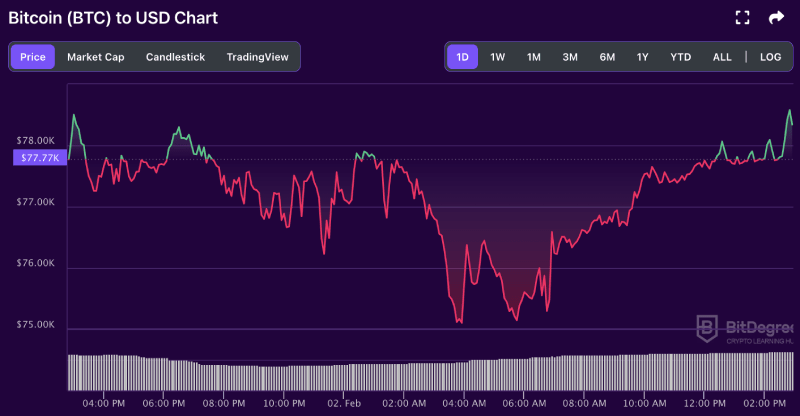 Bitcoin price chart from BitDegree, 02-02