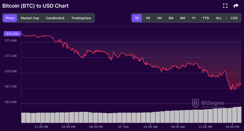 Bitcoin price chart from BitDegree, 02-05