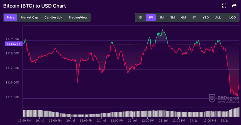 Bitcoin price chart from BitDegree 07-25