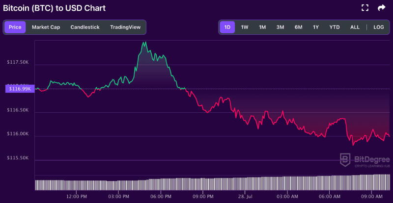 Bitcoin price chart from BitDegree, 07-28