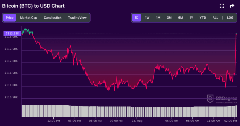 Bitcoin price chart from BitDegree, 08-22