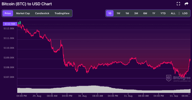 Bitcoin price chart from BitDegree, 09-01