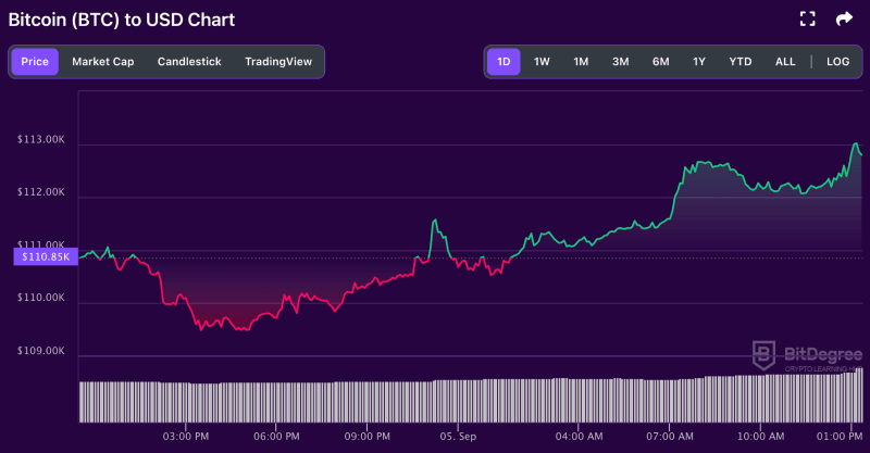 Bitcoin price chart from BitDegree, 09-05