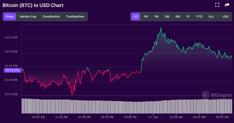 Bitcoin price chart from BitDegree, 09-12
