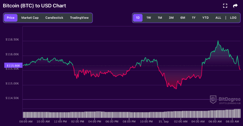 Bitcoin price chart from BitDegree, 09-15