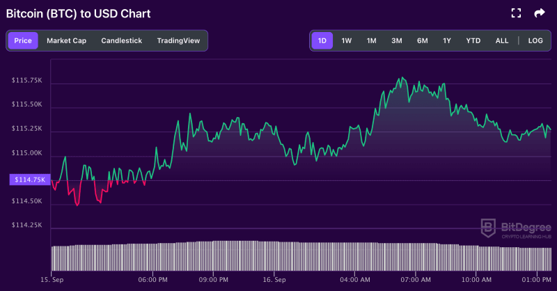 Bitcoin price chart from BitDegree, 09-16
