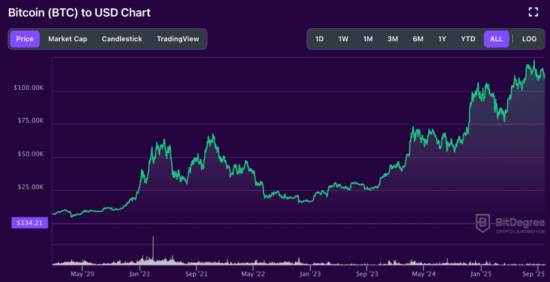 Bitcoin price chart from BitDegree, 2020 - present