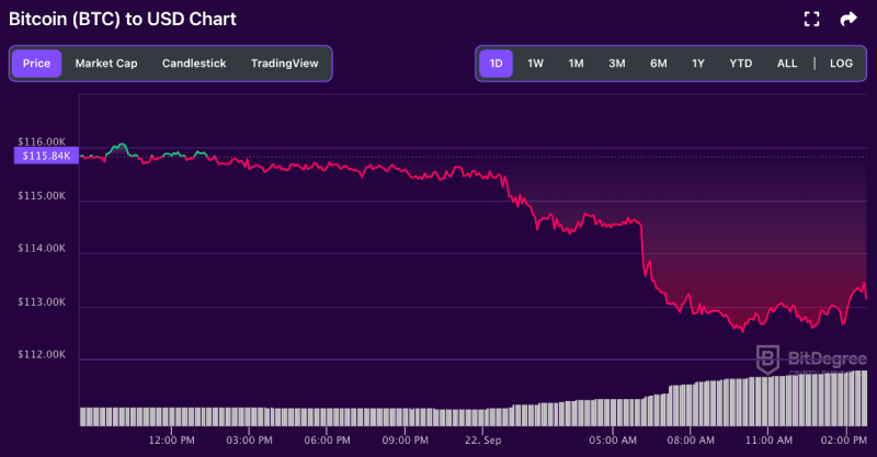 Bitcoin price chart from BitDegree, 09-22
