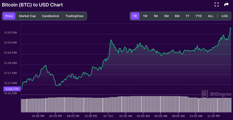 Bitcoin price chart from BitDegree, 10-02