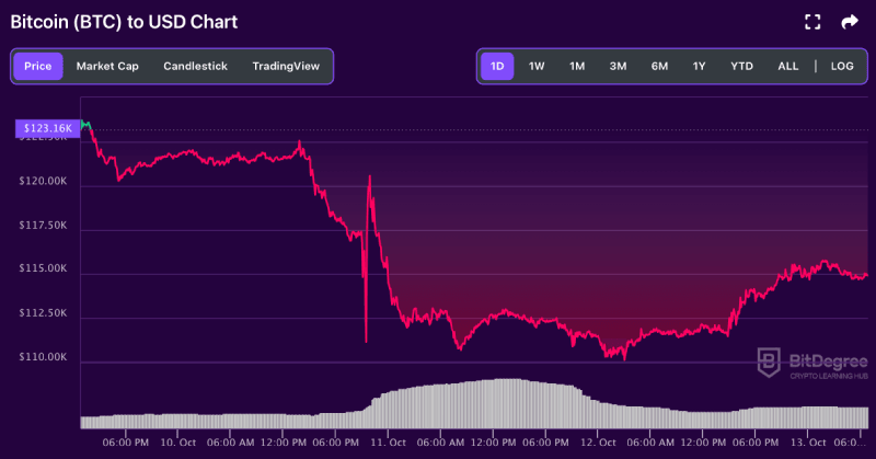 Bitcoin price chart from BitDegree, 10-13
