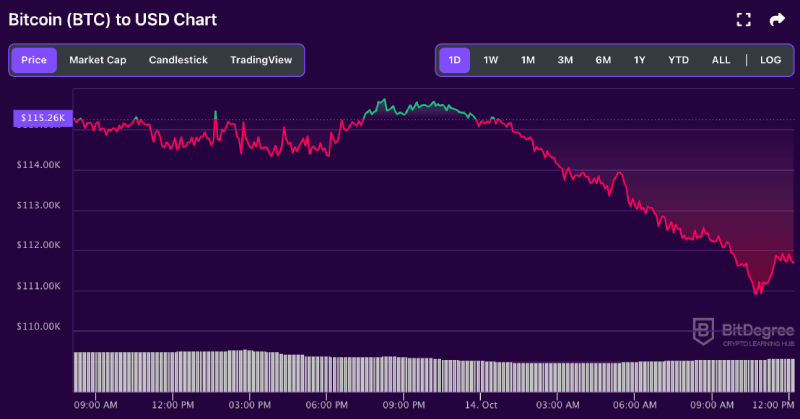 Bitcoin price chart from BitDegree, 10-14