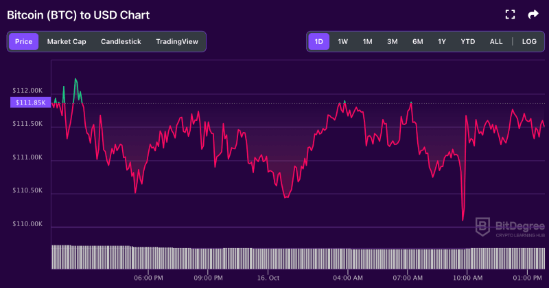 Bitcoin price chart from BitDegree, 10-16