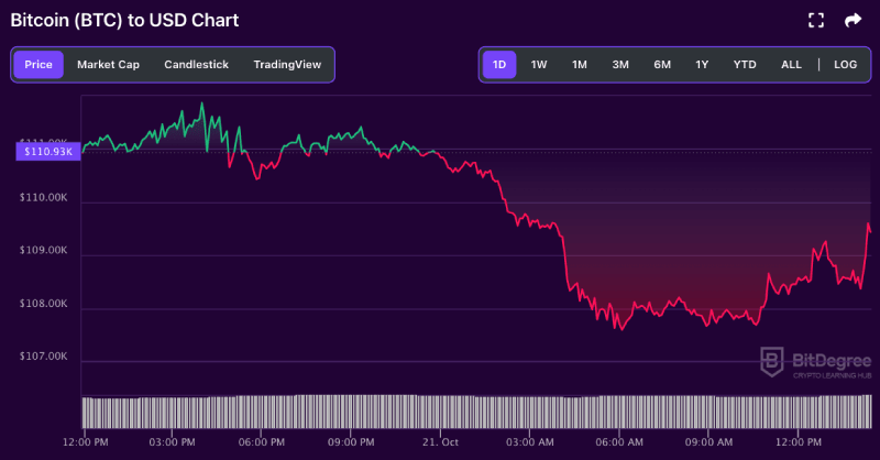 Bitcoin price chart from BitDegree, 10-21
