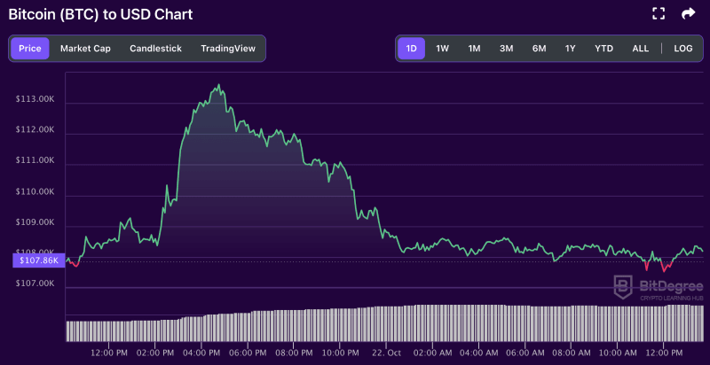 Bitcoin price chart from BitDegree, 10-22