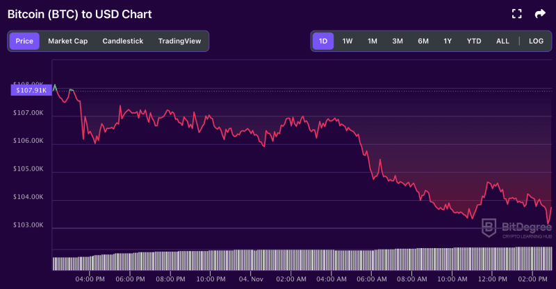 Bitcoin price chart from BitDegree, 11-04
