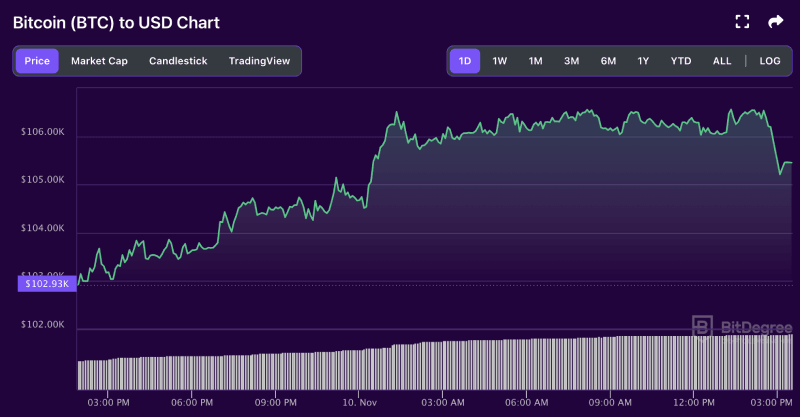 Bitcoin price chart from BitDegree, 11-10