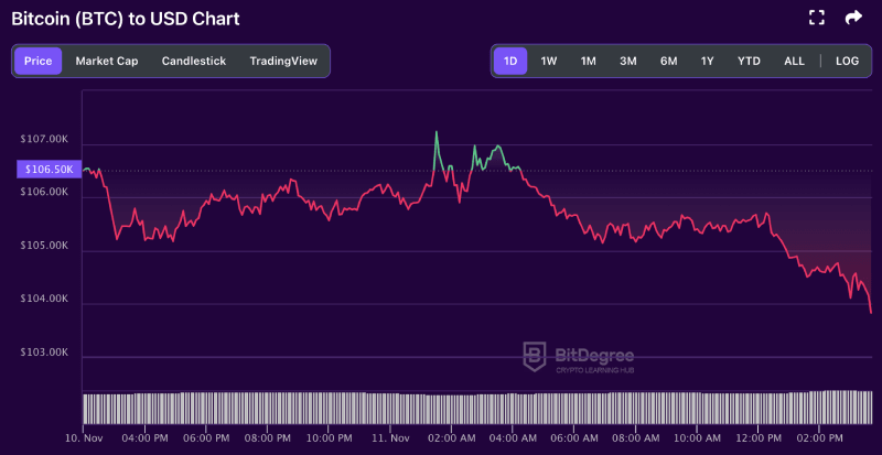 Bitcoin price chart from BitDegree