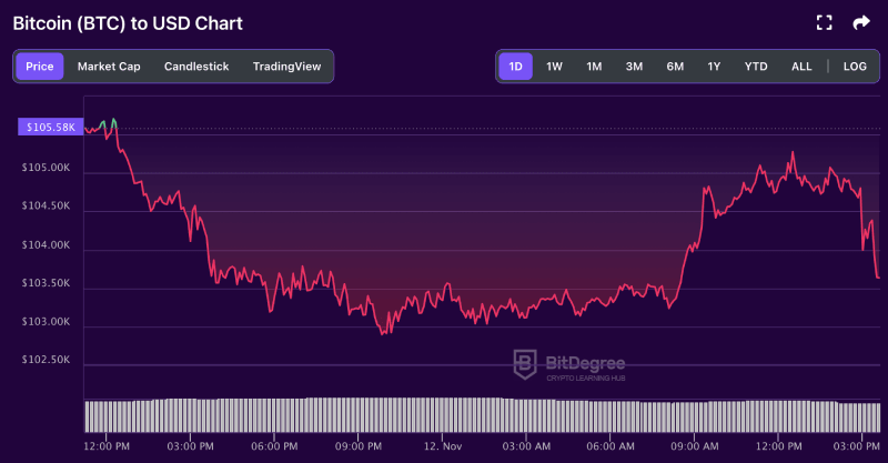 Bitcoin price chart from BitDegree, 11-12