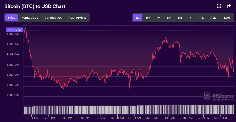 Bitcoin price chart from BitDegree, 11-13