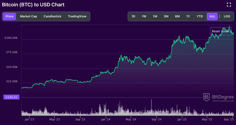 Bitcoin price chart from BitDegree, 2022-2025