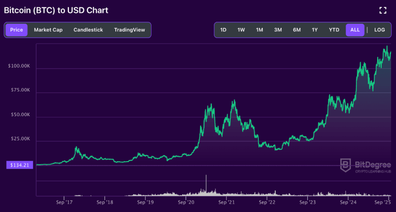 Bitcoin price chart from BitDegree, all time