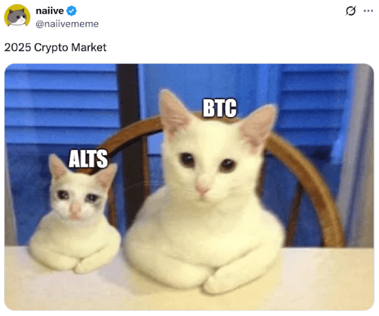 Bitcoin vs. Altcoins in 2025