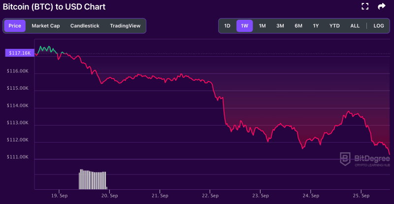 Bitcoin weekly price chart from BitDegree
