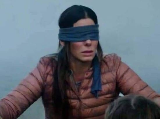 Blindfolded meme from Bird Box