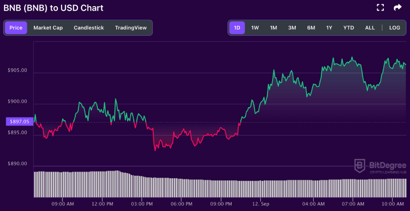 BNB price chart from BitDegree, 09-12