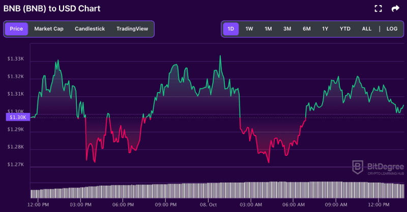 BNB price chart from BitDegree, 10-08