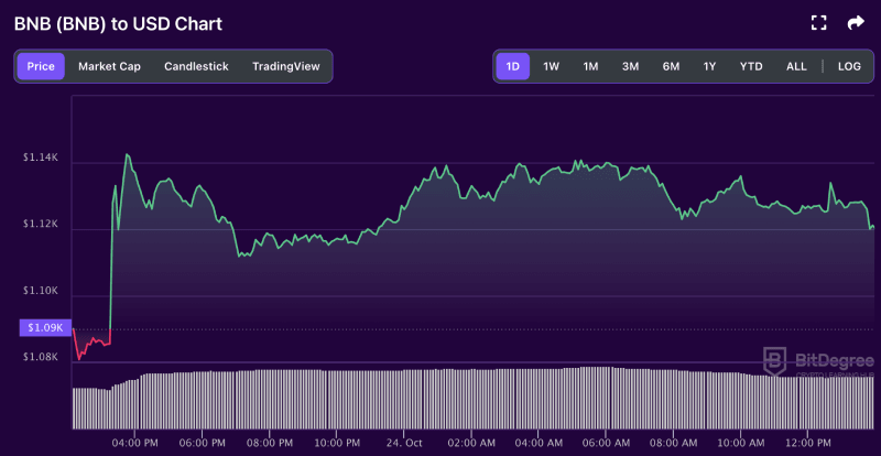 BNB price chart from BitDegree, 10-24