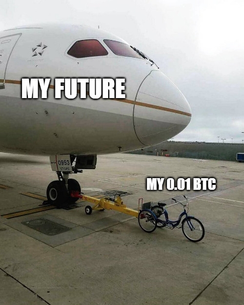 BTC carrying my future