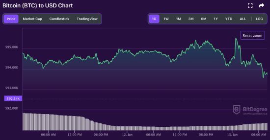 BTC price chart 01-13